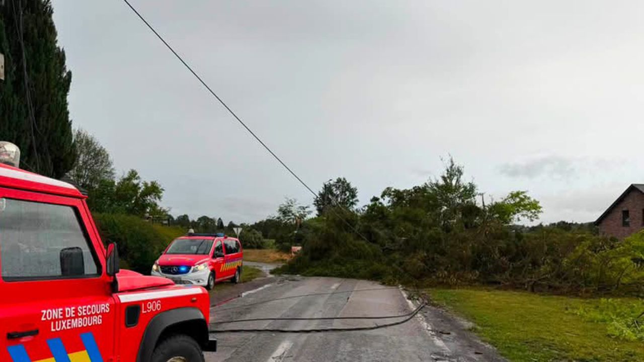 Arbres arrachés, toitures endommagées, les pompiers interviennent plus de cinquante fois dans le nord de la province