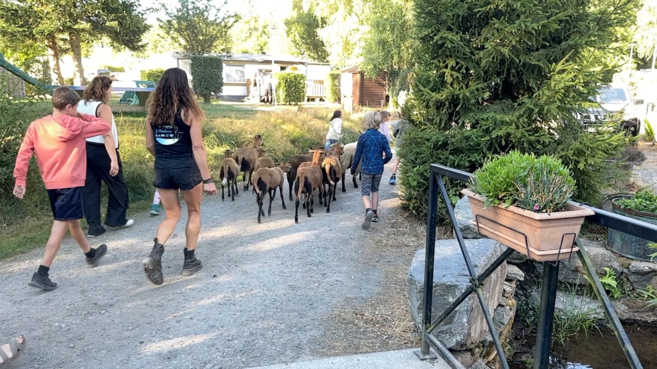 A Maissin, le Camping des Trois Fontaines joue la carte de la nature, du calme et de la tranquillité