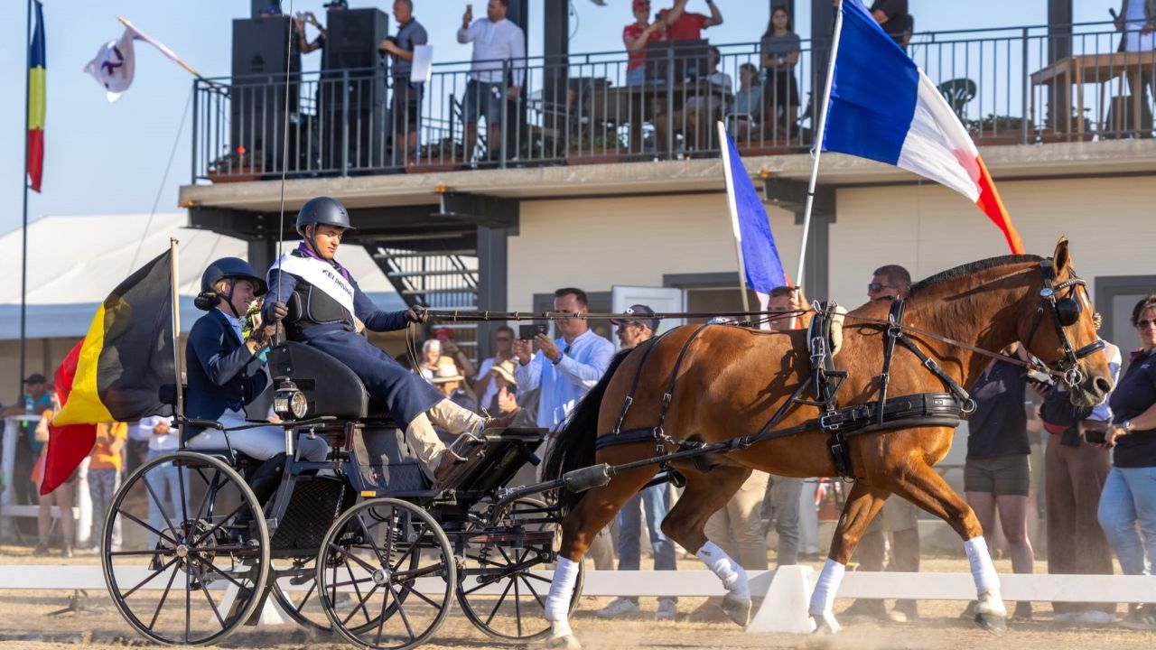 Hatrival: Prins Lejeune sacré champion d'Europe d'attelage 