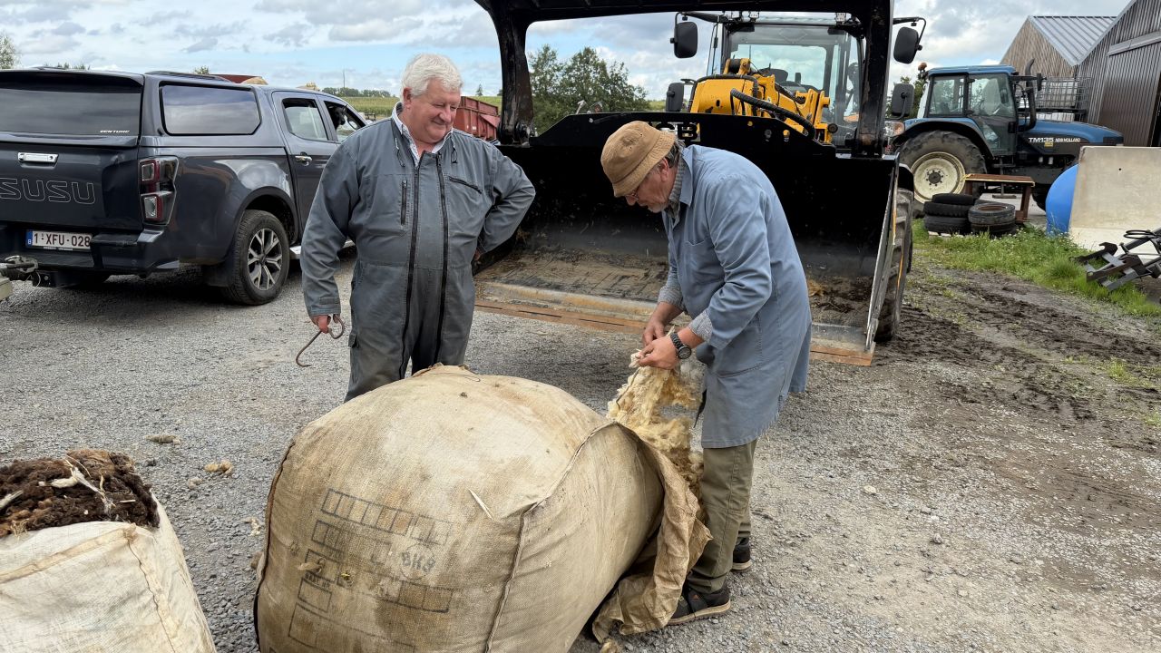 A Etalle, une collecte de laine pour compléter la filière locale