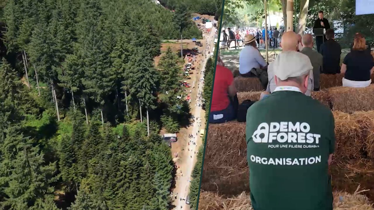 Luxembourg Terre de Coeur : Nos forêts, notre richesse