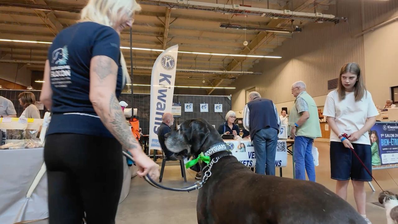 Un premier Salon du bien-être animal et de la solidarité à Arlon