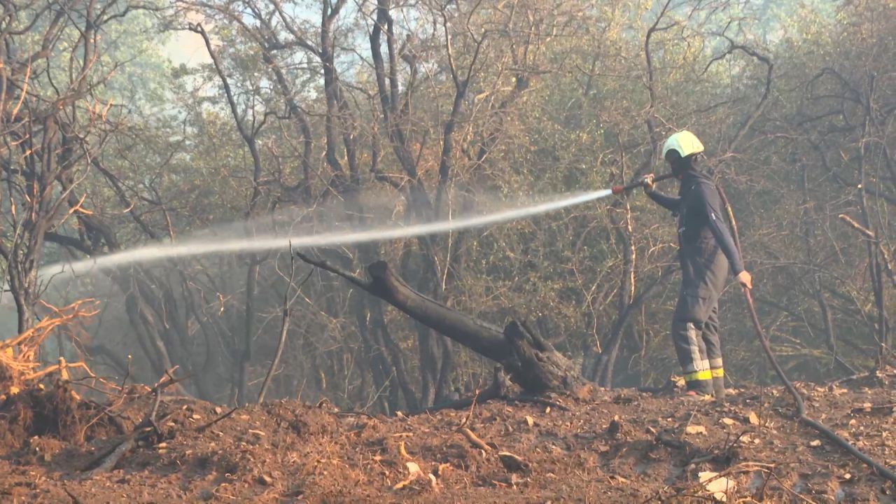 Les zones de secours tirent le bilan de cet été exceptionnel