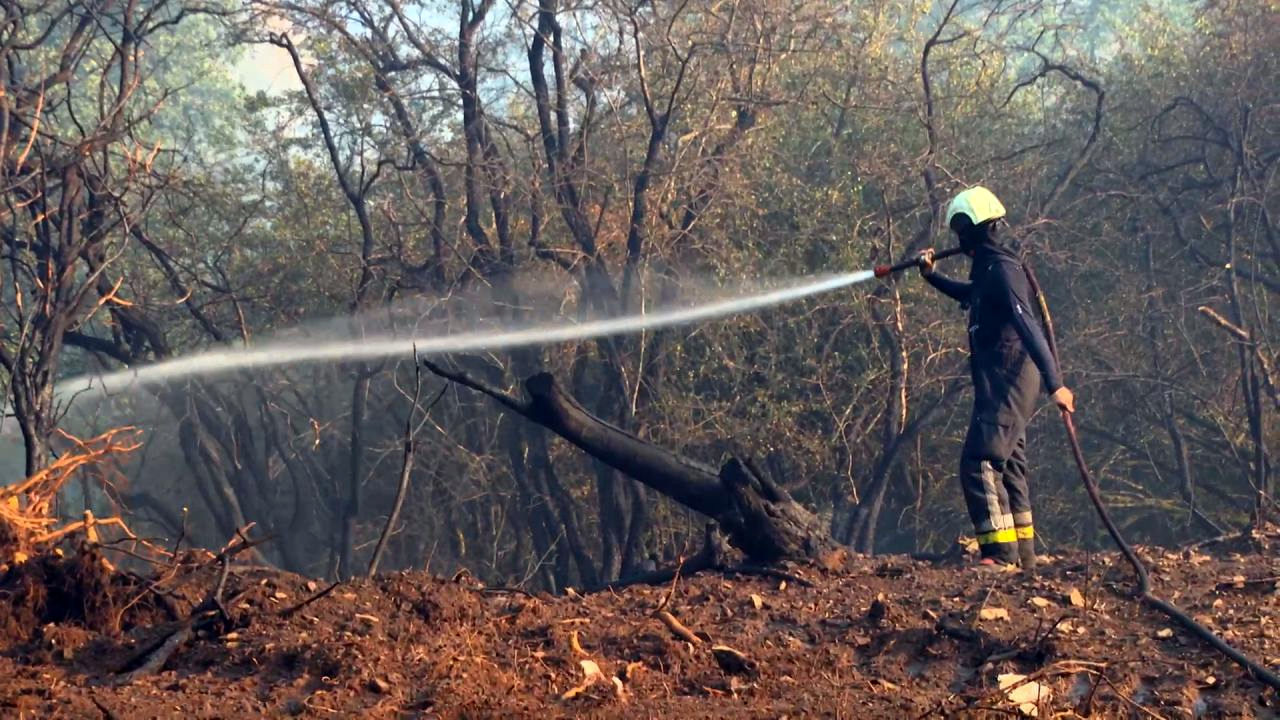 Les zones de secours tirent le bilan de cet été exceptionnel