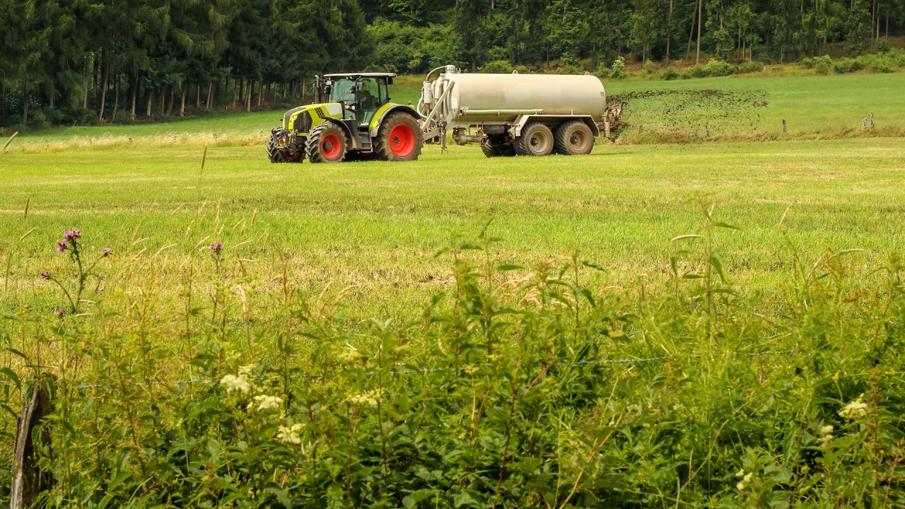 Sécheresse : la Wallonie soutient les agriculteurs en adaptant temporairement les règles sur l'azote