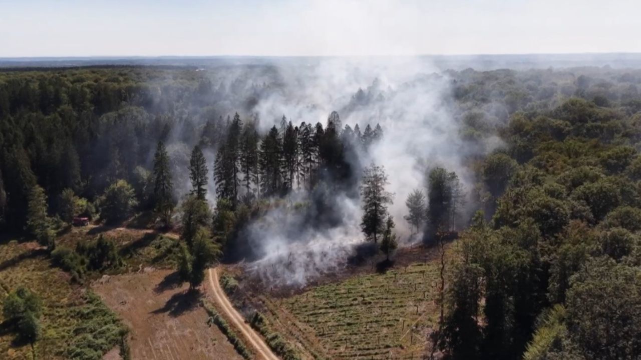 Fin des mesures de prévention contre les incendies en province de Luxembourg