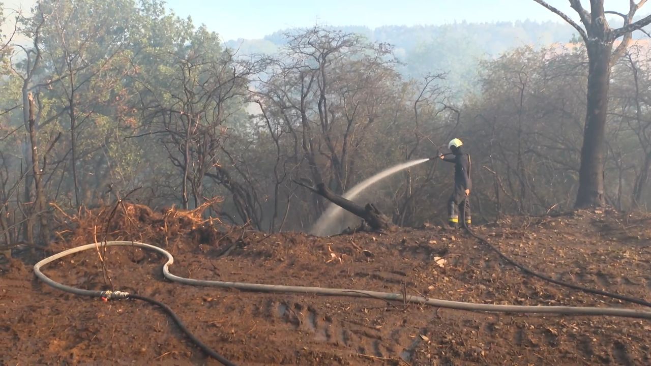 Risque d’incendie: de nouvelles mesures en province de Luxembourg du 28 septembre au 1er octobre