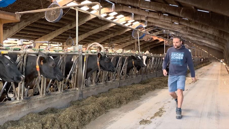 Tohogne : la ferme Loneux autonome en énergie grâce au biogaz