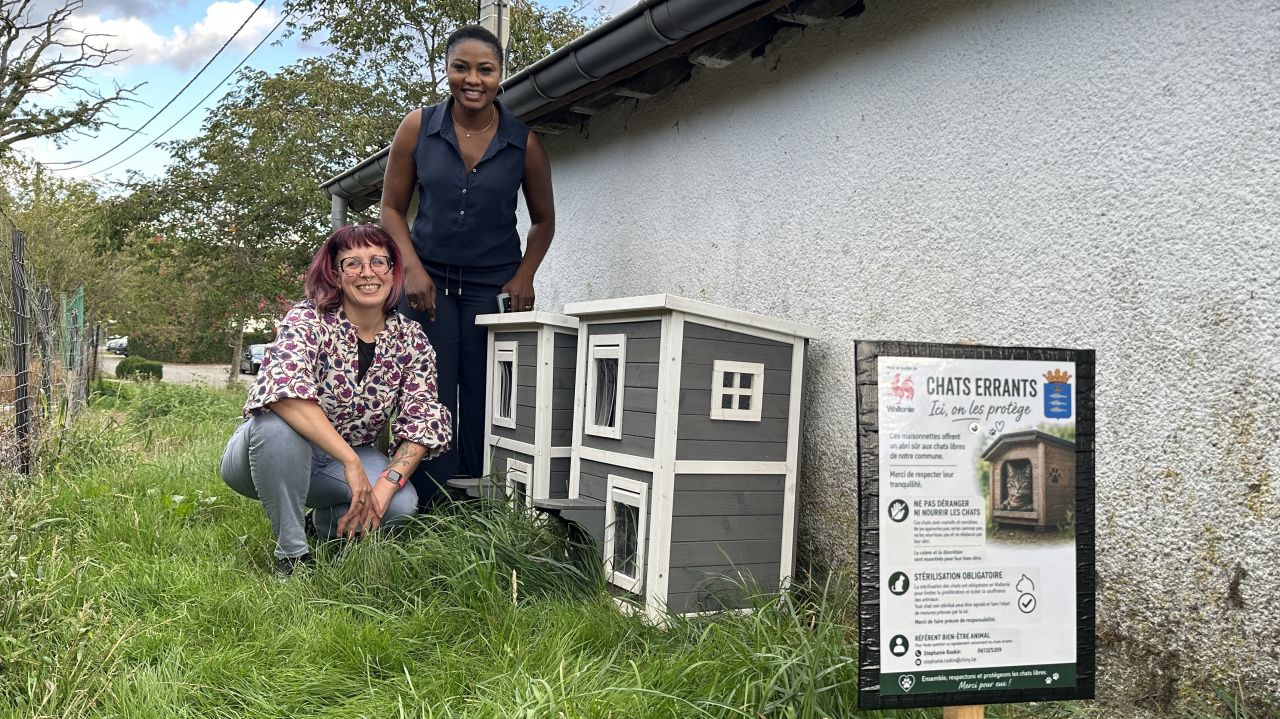 Chiny, première commune à installer des cabanes à chats errants, parrainées par des citoyens