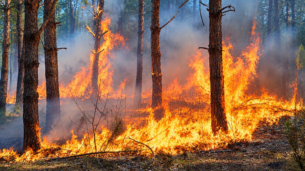Gouverneur, Province et Zone de secours réunissent les bourgmestres suite aux incendies de l'été