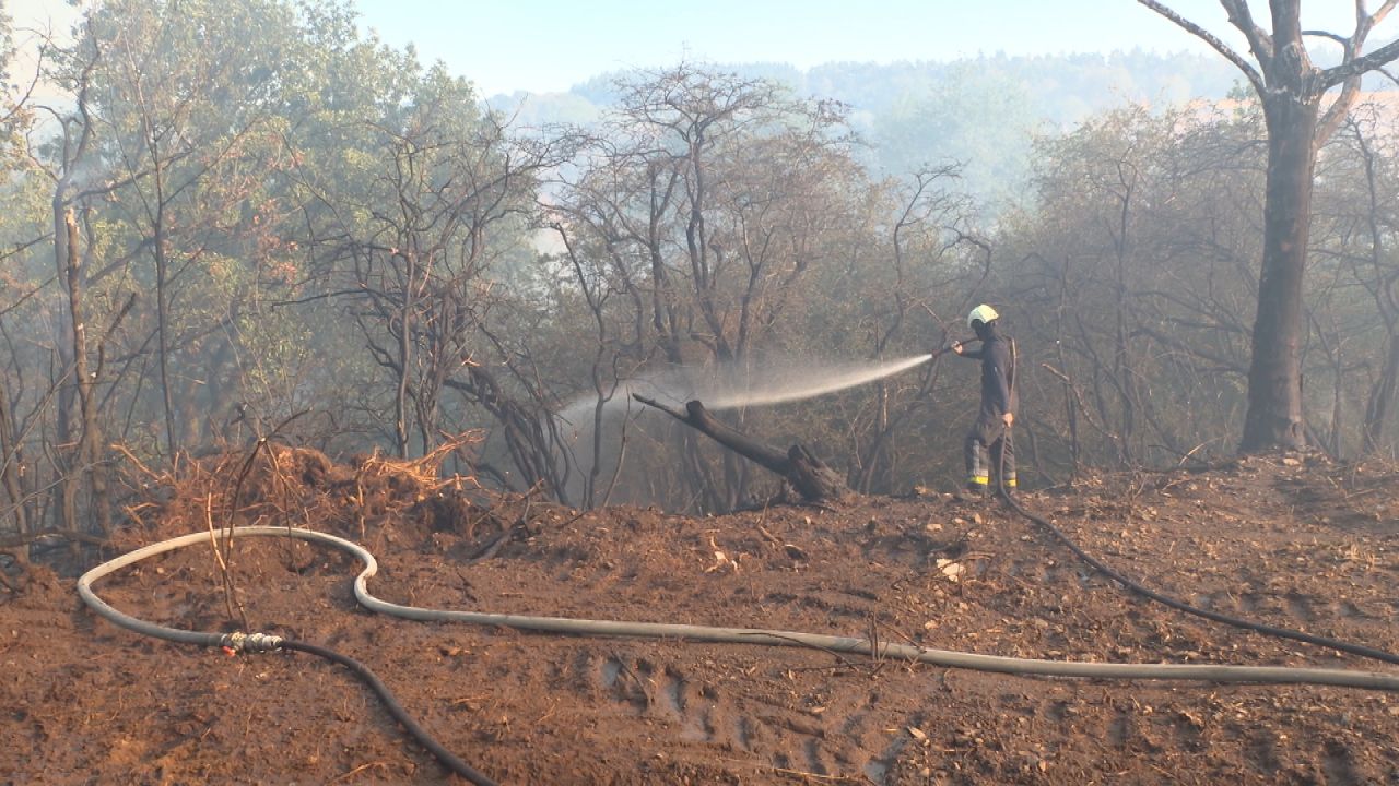 Un plan d'actions provincial contre les feux de forêts