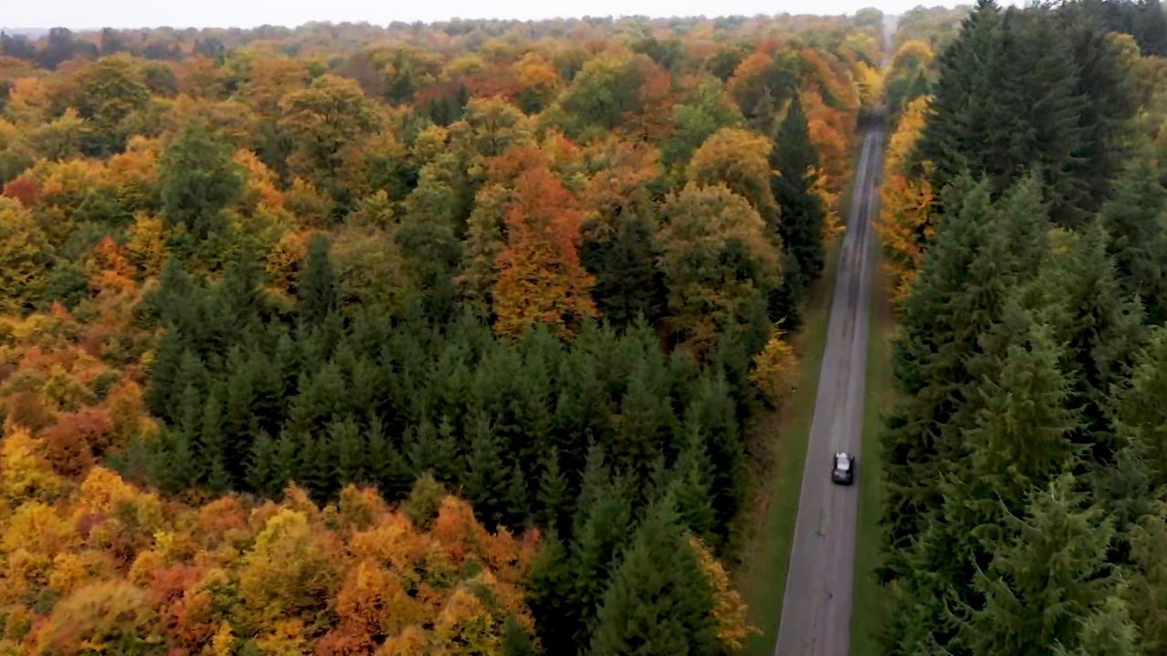 50 km/h maximum en Forêt d'Anlier à partir de ce premier novembre