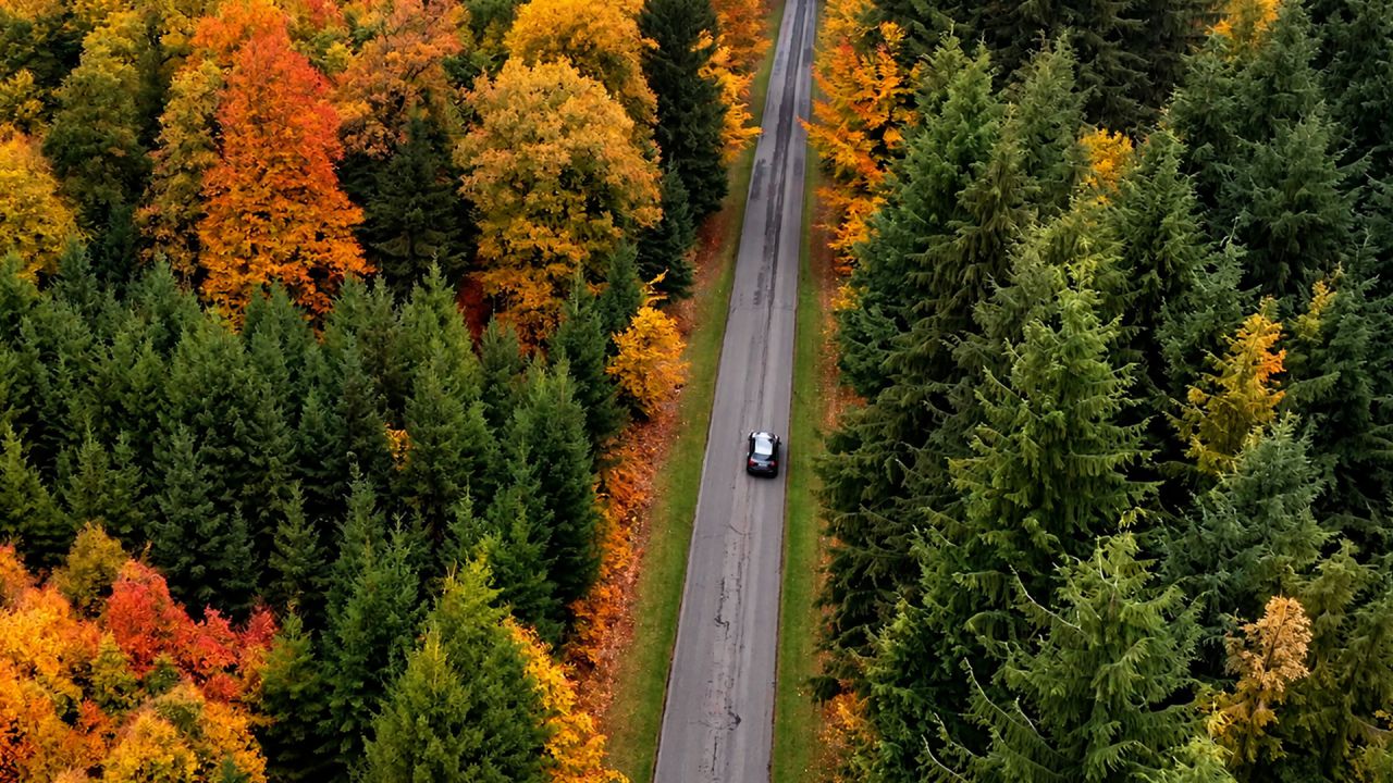 50 km/h maximum en Forêt d'Anlier à partir de ce premier novembre