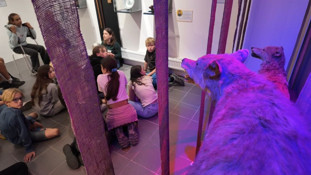 Bête de musée : la représentation de l'animal s'expose à Bastogne