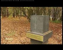 ROUTE ANLOY-MESSIN : VOL DE STATUE FRANCAISE