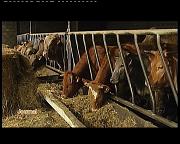 CER : PROJET EUROPE AGRICULTEURS A MARLOIE