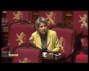 INTERVENTION AU SENAT DE DOMINIQUE TILMANS