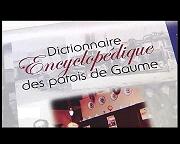 LANCEMENT DU DICTIONNAIRE