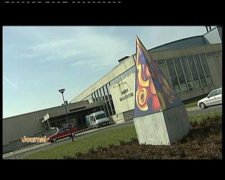LUXEMBOURG 2010 : GRAPPE CULTURE