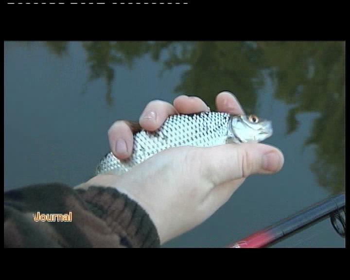 OUVERTURE PECHE A LA TRUITE