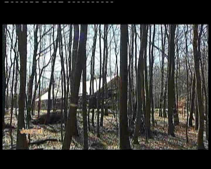POLITIQUE TOURISTIQUE EN FORET
