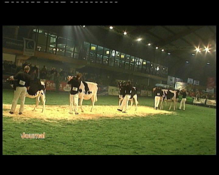 NUIT DE LA HOLSTEIN