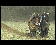 JOURNEE DU LABOUR (LOUFTEMONT)