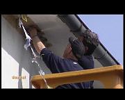 REHABILITATION COLONIE D HIRONDELLES (NEUFCHATEAU)