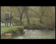 CONCOURS DE PECHE A LA MOUCHE