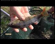 INITIATION A LA PECHE