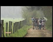 MARCHE DU COQ TONTELANGE