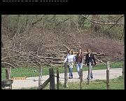 PROMENADE DES LAVOIRS