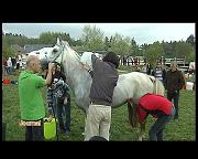 FESTIVAL EQUESTRE D ENDURANCE
