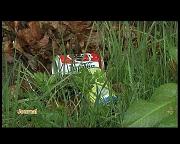 ACTION PURE PROVINCE