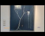 EXPO VAN DEN ABEELE