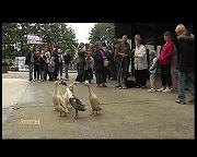 FERMES OUVERTES