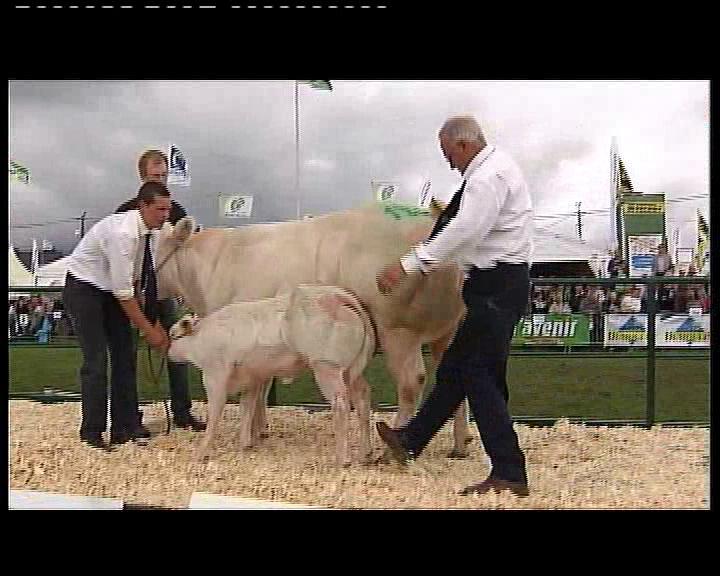 CONCOURS BBB