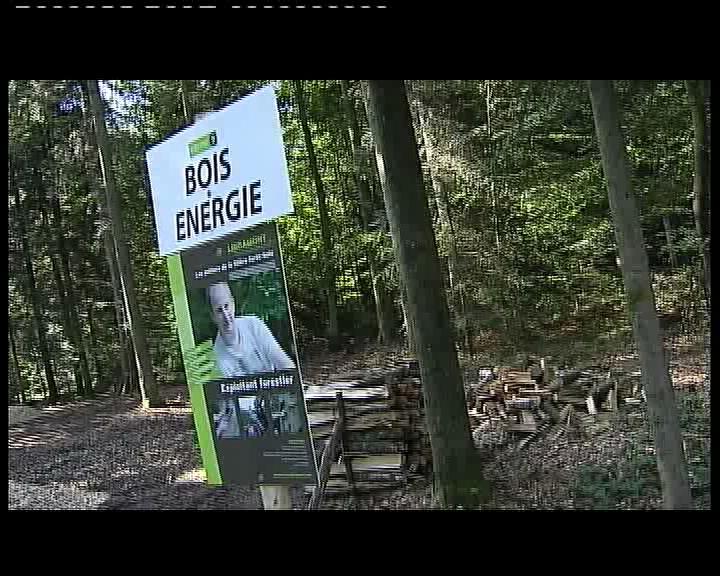 FOIRE : PRESENTATION DES JOURNEES EN FORET