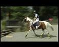 CONCOURS COMPLET (DURBUY)