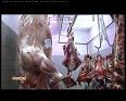 PROJET RENOVATEUR ABATTOIR COMMUNAL