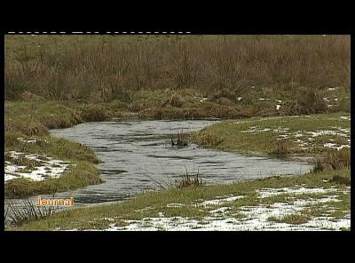 POLLUTION AU MAZOUT DANS LA MELLIER 