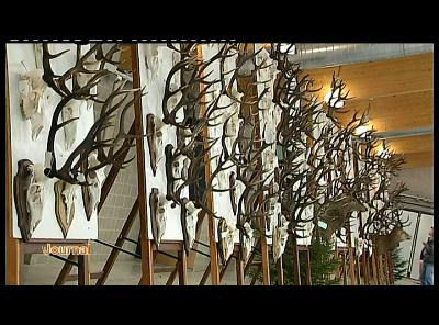 BERTRIX HALL  22E EXPO CONSEIL CYNEGETIQUE REUNION-EXPOSITION-BILAN ANNEE 2009