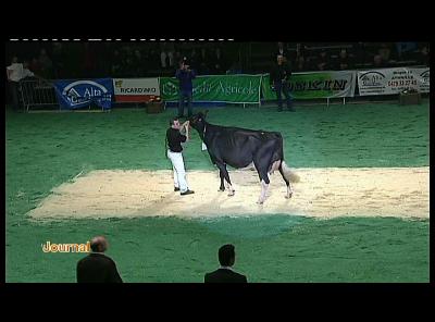 WALEXPO NUIT DE LA HOLSTEIN LIBRAMONT