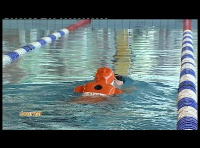 CHAMP DE NATATION ET SAUVETAGE BASTOGNE