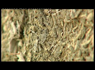 BERTRIX : EXPO REMINISCENCE