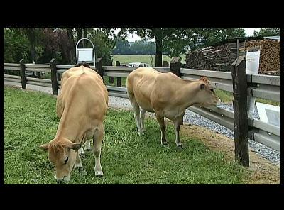 FERMES OUVERTES ANLOY