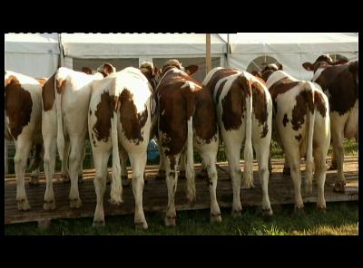 BAROMETRE AGRICOLE