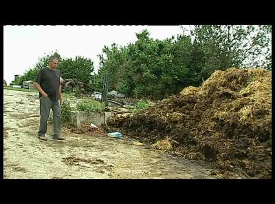 VIELSALM EXPLOITATION AGRICOLE RECUPERATION CHALEUR DANS LE FUMIER PROJET DIVERS