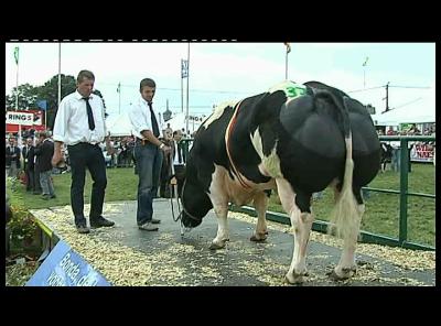 TEMPS FORTS DE LA FOIRE LES CONCOURS