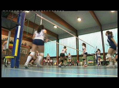 VOLLEY